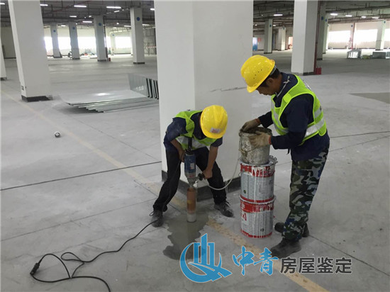 廠房承重檢測的檢測內(nèi)容主要針對建筑物哪里？